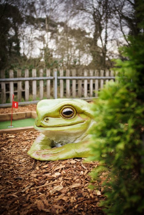Our Crazy Golf Gallery | Lightwater Adventure Golf gallery image 4